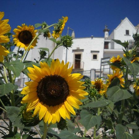 Cuore Dei Venti Martina Franca Luaran gambar
