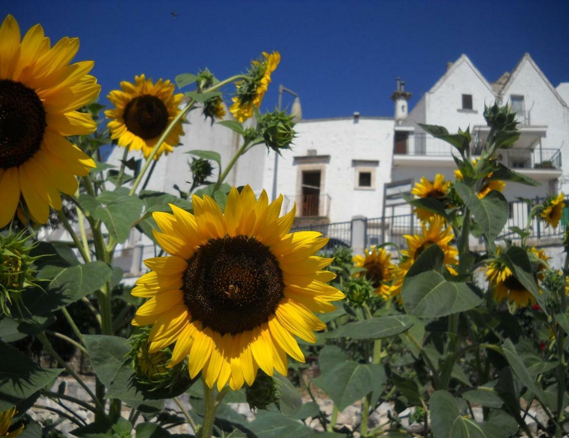 Cuore Dei Venti Martina Franca Luaran gambar